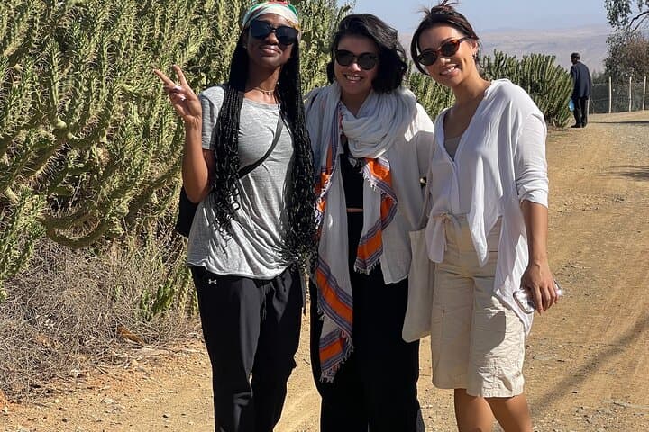 Marrakech: Spend Natural day Pottery, walk and pool photo 4