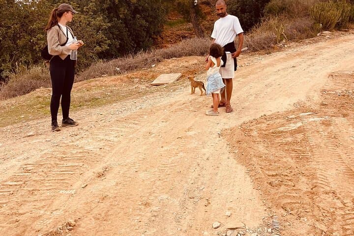 Marrakech: Spend Natural day Pottery, walk and pool photo 5