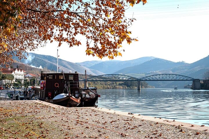 Private Douro Valley Tour: Boutique Winery & River Cruise  photo 3