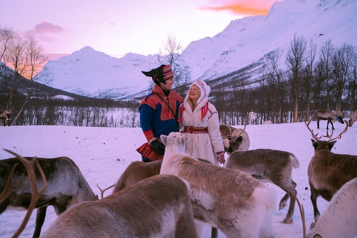 Exclusive Reindeers Experience in small groups, Tromso photo 4