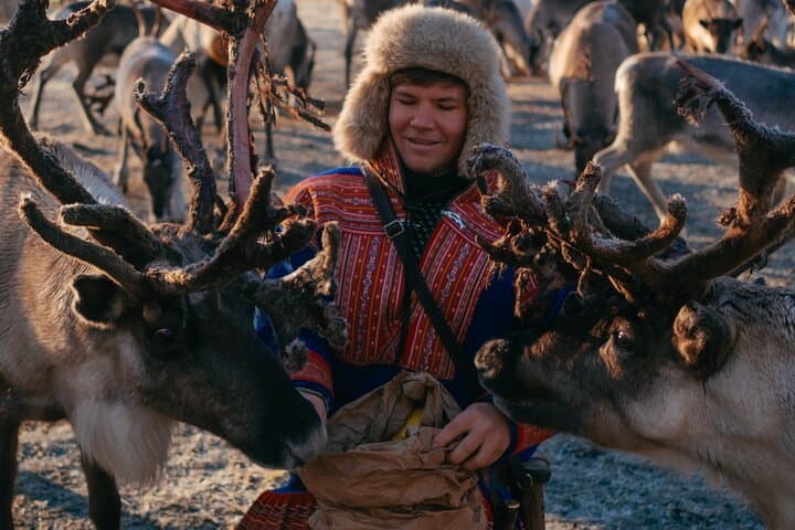 Exclusive Reindeers Experience in small groups, Tromso photo 2