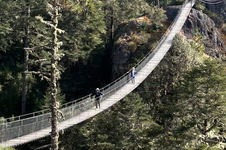 Hiking in the Sierra Norte of Oaxaca