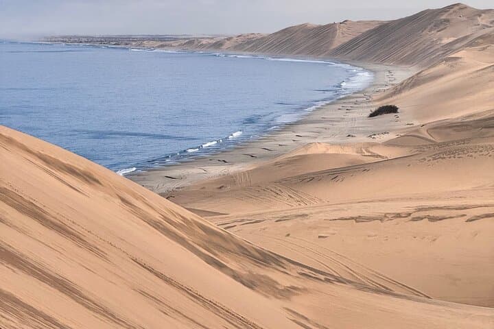 Sandwich Harbour 4x4 Scenic Excursion photo 5