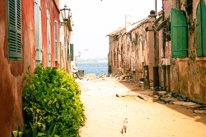 Explore Gorée Island History Memory and Heritage UNESCO photo 4