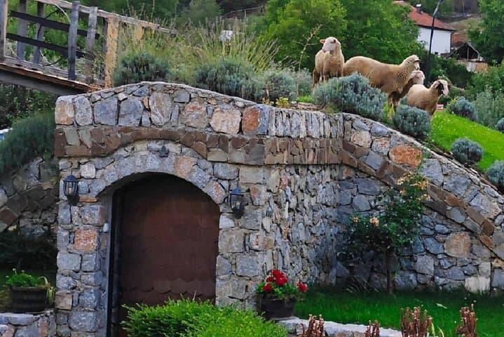 Rakija Distillery Guided Tour and Tasting photo 4