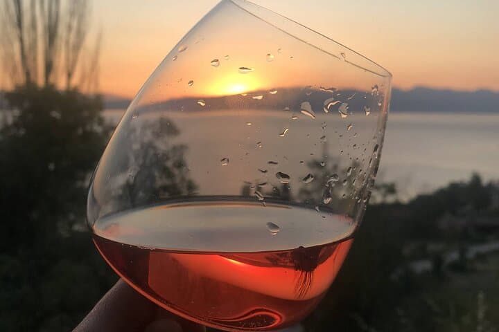 Vik's Unique Wine Tasting Experience in Ohrid