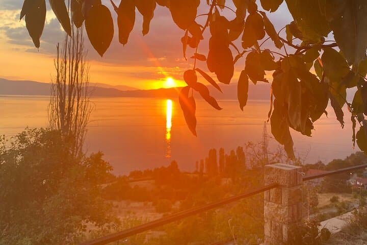 Vik's Unique Wine Tasting Experience in Ohrid photo 4