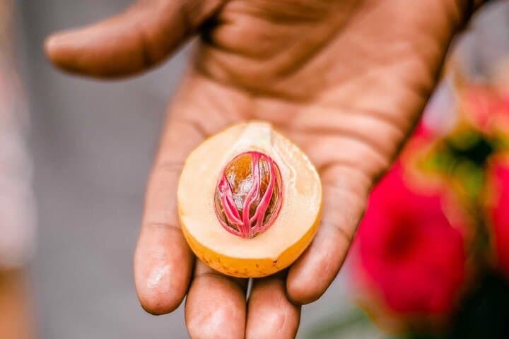 Stone Town and Spice Farm Tour (With Lunch) photo 5