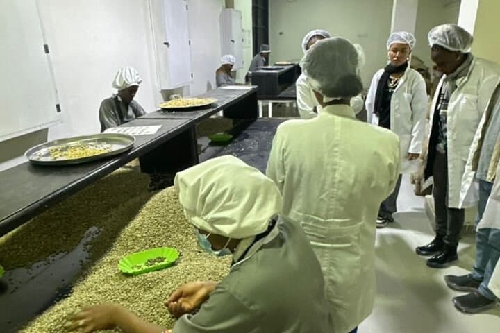 Ethiopia coffee cupping class and Ethiopian food injera making photo 3