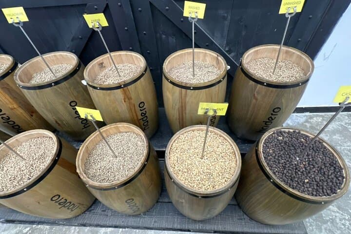 Ethiopia coffee cupping class and Ethiopian food injera making photo 5