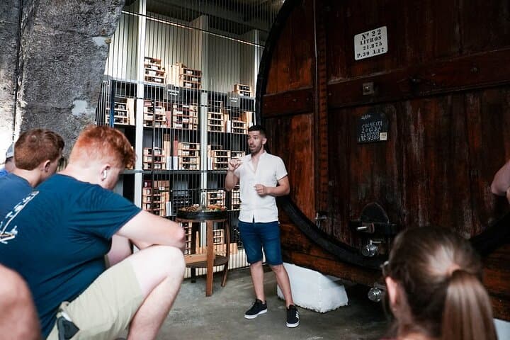 Port Wine Tour | 3 Cellars | 7 Tastings | 12 Participants Maximum photo 2