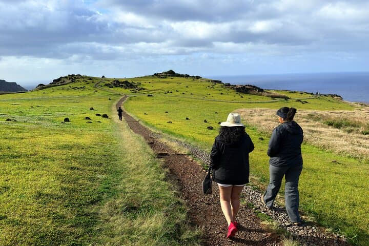 Birdman Ceremonial Route: Orongo, Ranu Kau Half-Day Tour  photo 3