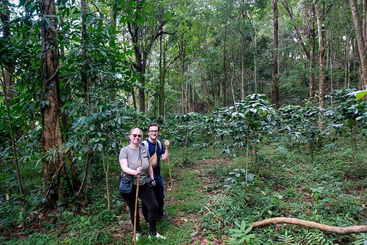 Chiang Mai 4WD Hilltribe Coffee: Jungle Trek, Roast & Brew. photo 4
