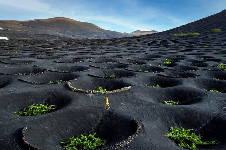 Taste Tradition 4 Wineries and Tapas Bar photo 3