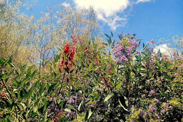 Taste Tradition 4 Wineries and Tapas Bar photo 4