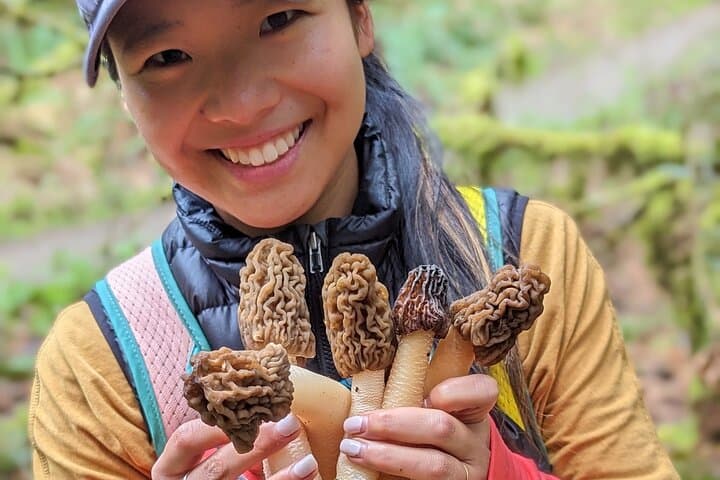 Intro to Seattle Mushroom Foraging