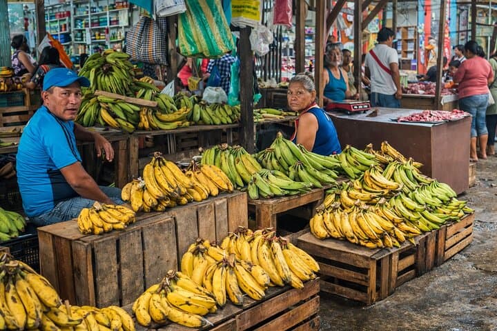 Belén Tour: Exotic Market, Floating City & Amazonian Life photo 5