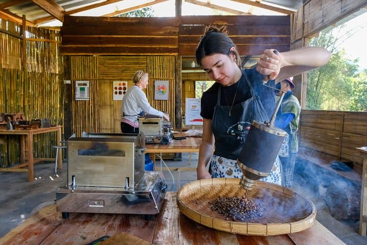 Chiang Mai 4WD Hilltribe Coffee: Jungle Trek, Roast & Brew.