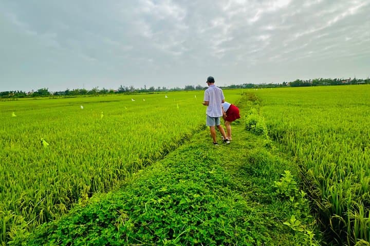 Real Rural Hoi An Scooter Tour: Villages & Local Crafts photo 4