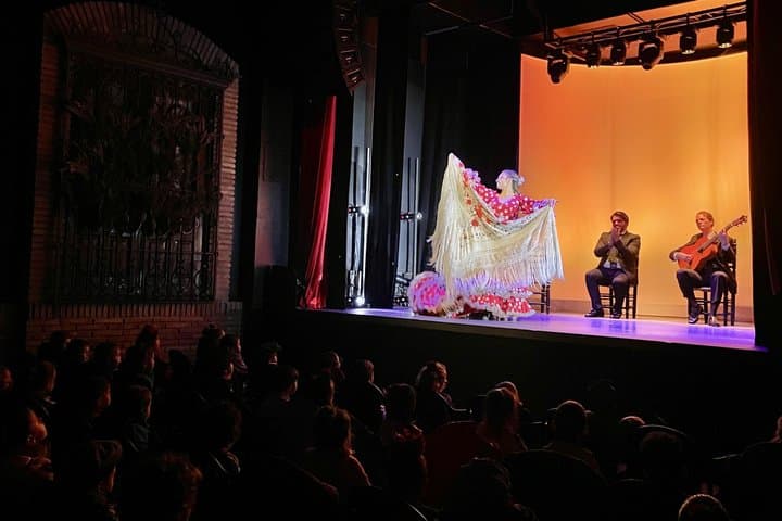 Teatro Flamenco Granada: The Heart of Flamenco at the Alhambra photo 5
