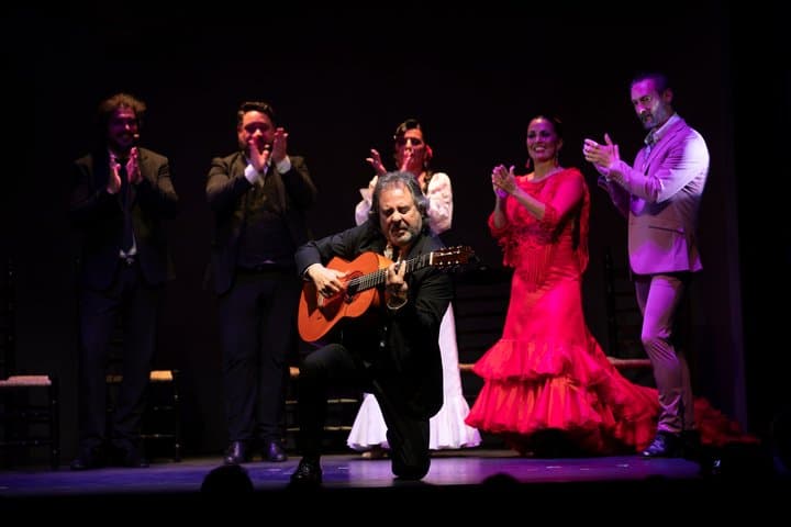 Teatro Flamenco Granada: The Heart of Flamenco at the Alhambra photo 4