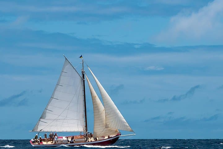 Little Bay Half-Day Sail & Snorkel Adventure