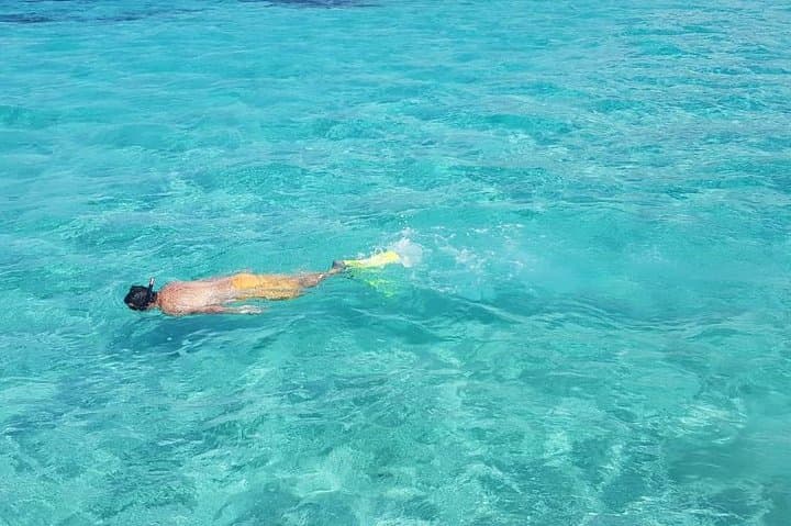 Mauritius : Full day All inclusive Ile aux cerfs Catamaran cruise photo 3
