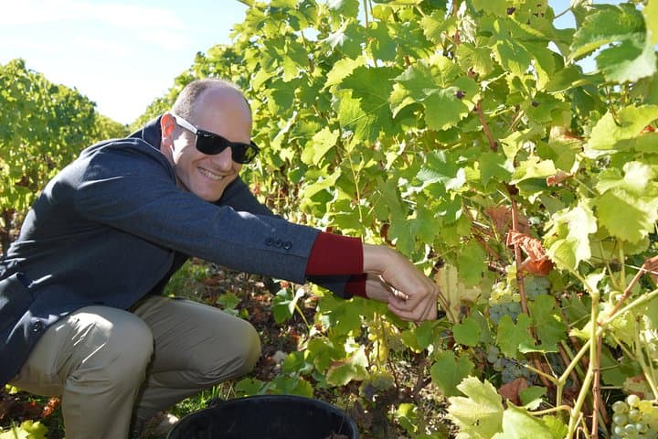 Paris Wine Day Tours exclusive Champagne tour incl. 3 visits photo 2