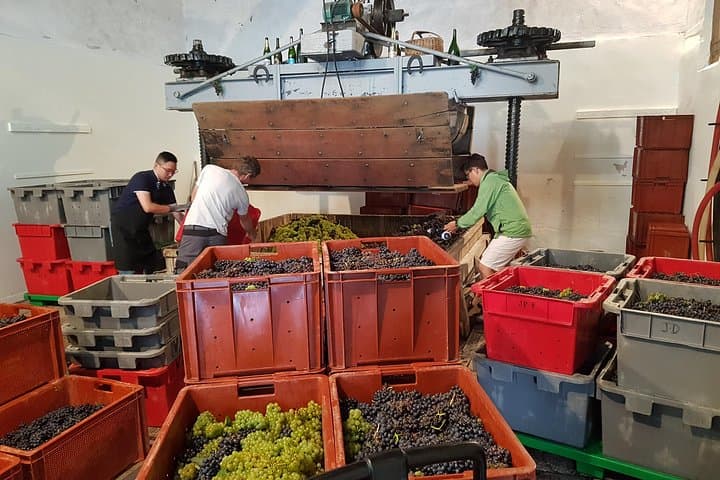 Paris Wine Day Tours exclusive Champagne tour incl. 3 visits