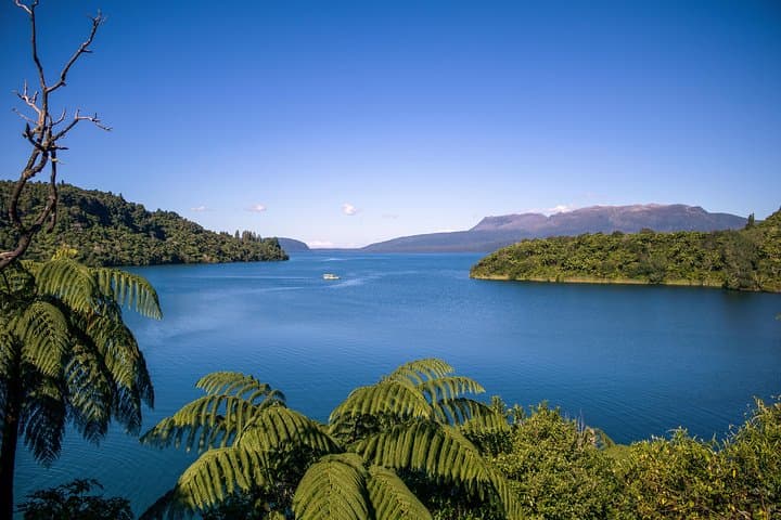 Tarawera and Rotorua Lakes Eco Tour by Boat with Guide photo 3