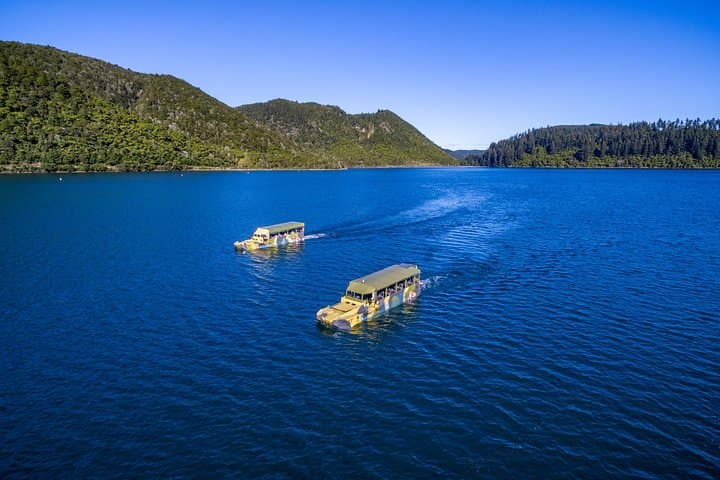 Tarawera and Rotorua Lakes Eco Tour by Boat with Guide photo 5