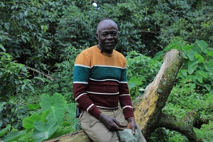 Coffee Farm Tour : Coffee Tasting, Coffee Ceremony, Coffee Plantation visit photo 4