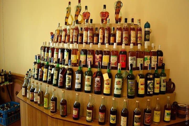 Wine Tasting Tour in Samarkand photo 5