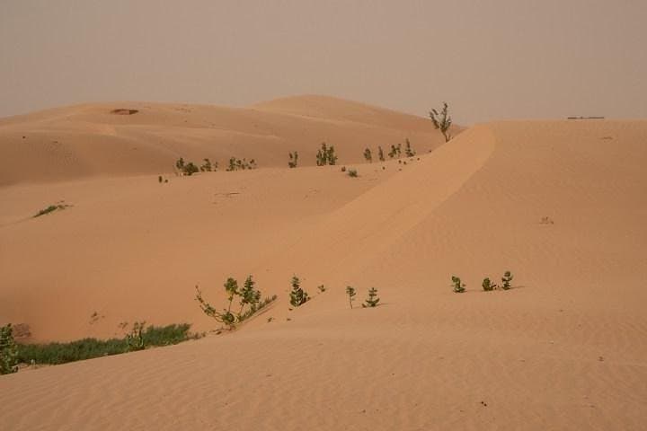 Nouakchott Explorer: Private Capital Tour photo 4