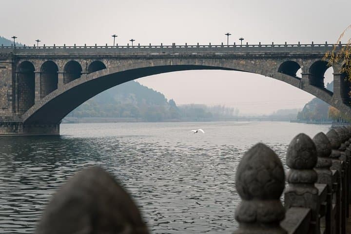 Private Half-Day Longmen Grottoes Walking Tour from Luoyang photo 3