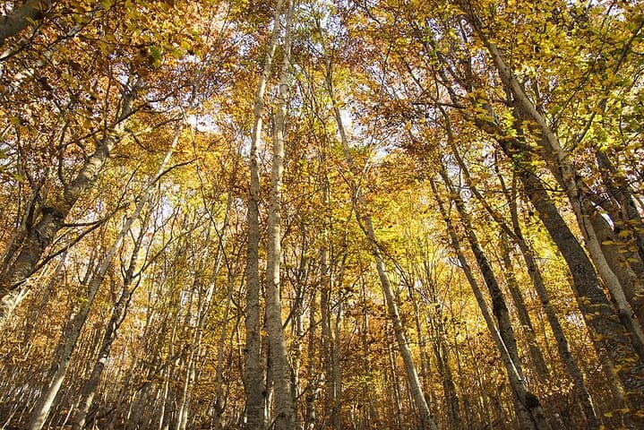 Hiking to Magaro peak from Ohrid photo 4