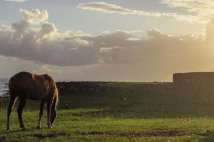 Horseback Riding on Easter Island photo 4