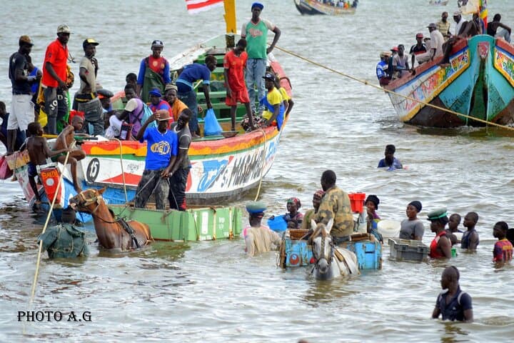 Full-Day PINK LAKE and FISHING VILLAGE combination photo 2