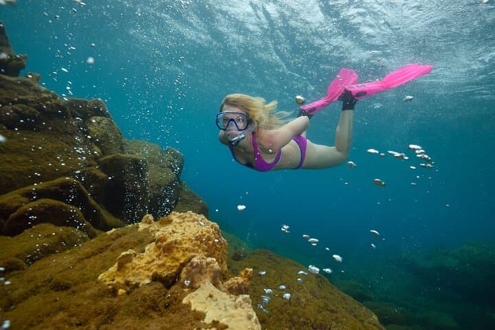Champagne Reef Snorkeling Tour at volcanic hot Bubbles Dominica