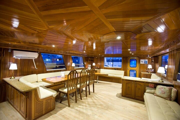 Whale Watching Cruise on a Yacht in Reykjavik photo 5