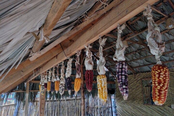 a day in the life of a Zapotec village photo 4