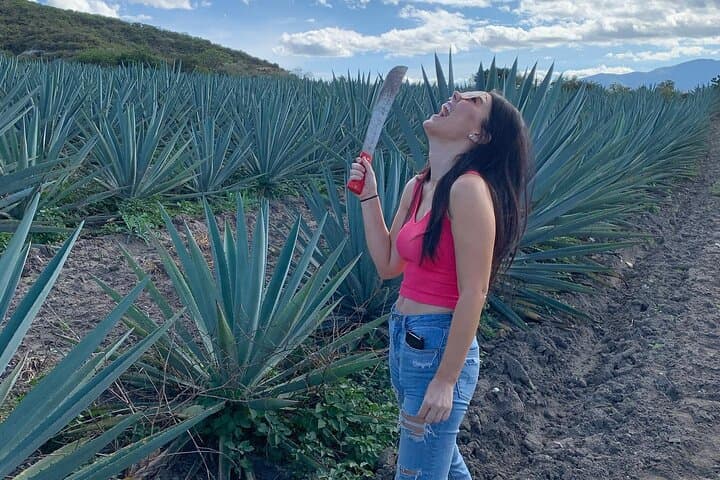 The Mezcal Journey photo 5