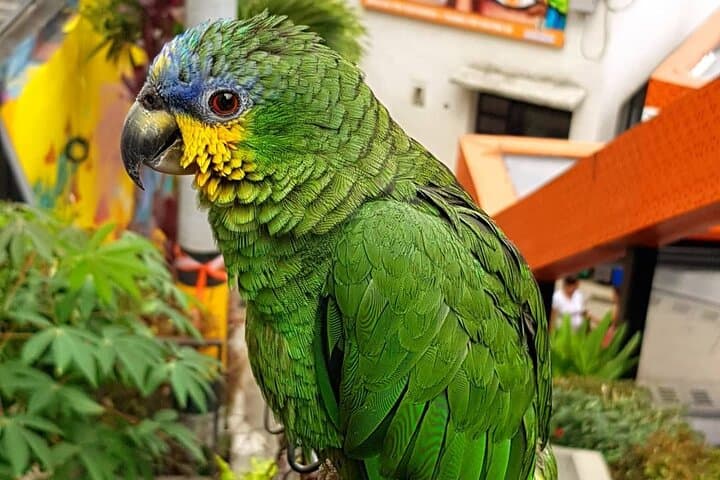 Comuna 13 Graffiti Tour with Street Food photo 4