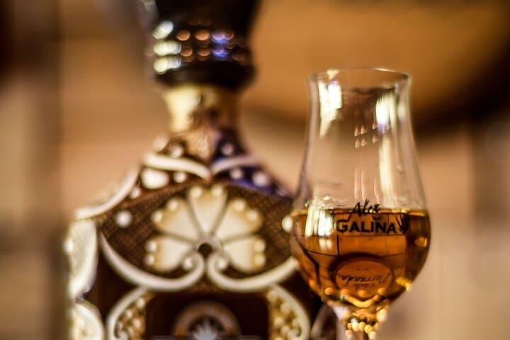 Tequila Tasting -Masterclass and Blind Tasting photo 2