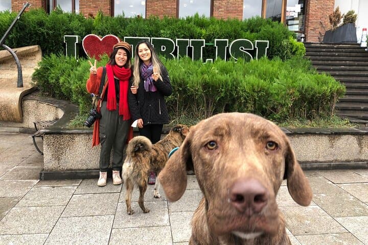 Old Tbilisi Highlights walking tour with wine & 10 tastings photo 3