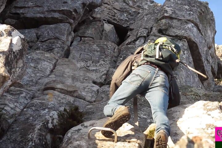 HIKE Cape Town-South Africa With a Private Guide photo 4