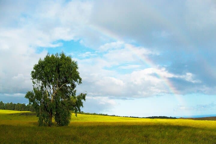 6-Day Private Easter Island Archaeology and Hiking Adventure photo 3