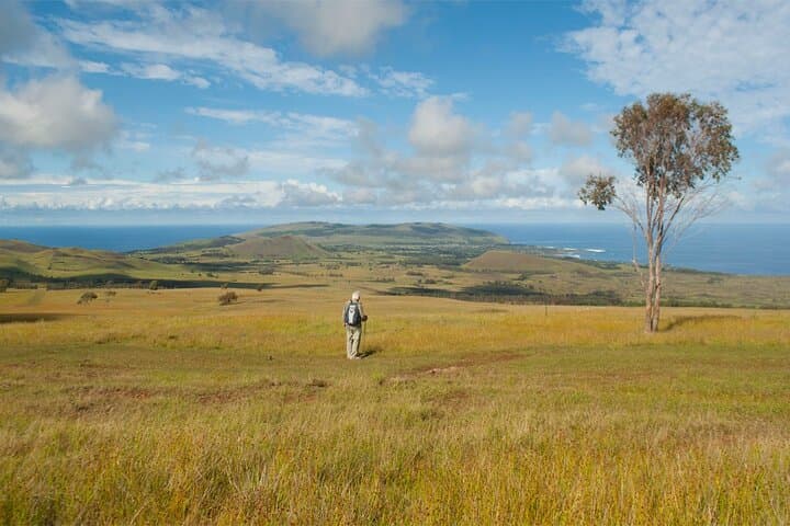 6-Day Private Easter Island Archaeology and Hiking Adventure photo 2