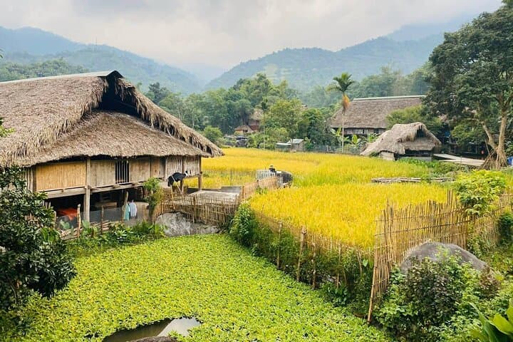 1 Day Trekking Tour in Ha Giang with Local Experts photo 4