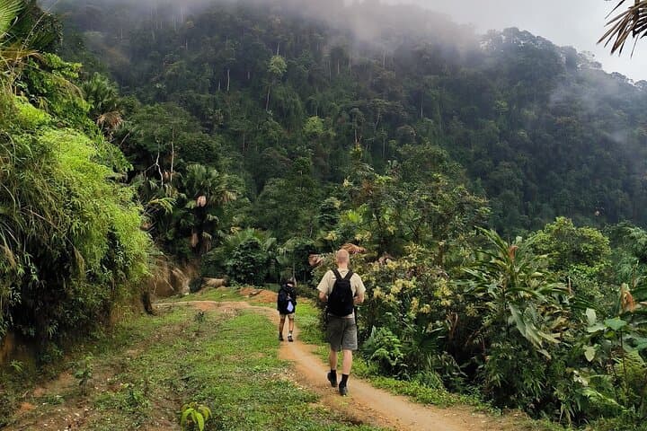 1 Day Trekking Tour in Ha Giang with Local Experts photo 3